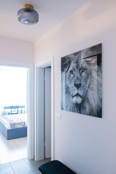 Tokiyo: A Lovely City Center 2 Bedrooms Apartment With Private Parking Σόφια Εξωτερικό φωτογραφία